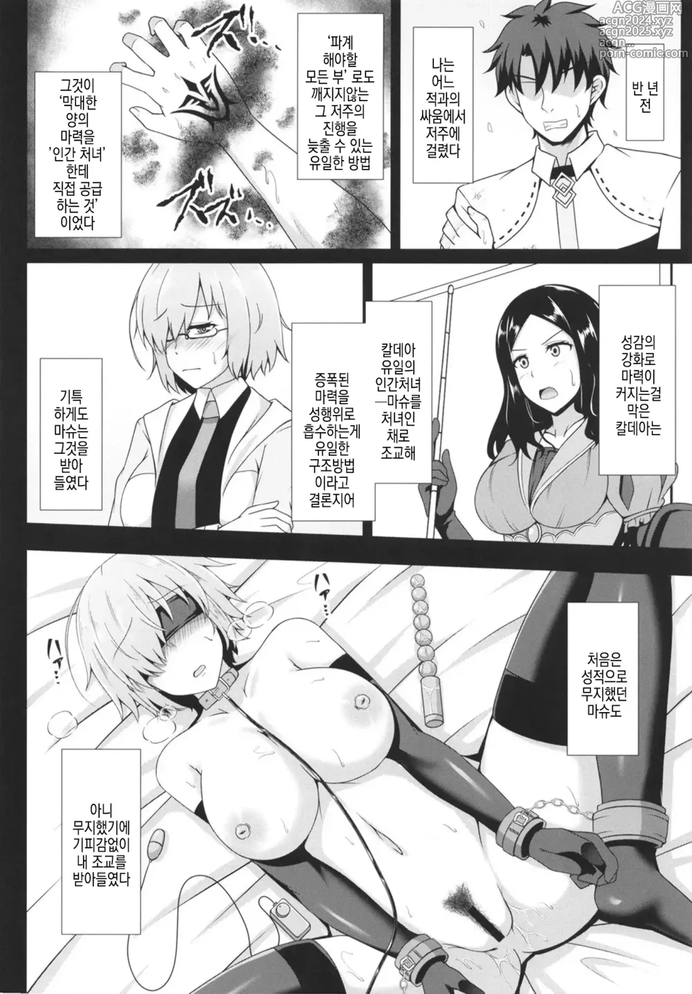 Page 12 of doujinshi 세상에서 가장 음란한 처녀 ~조교애4~