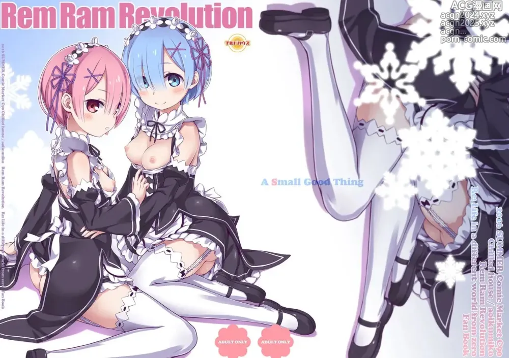 Page 20 of doujinshi Rem Ram Revolution