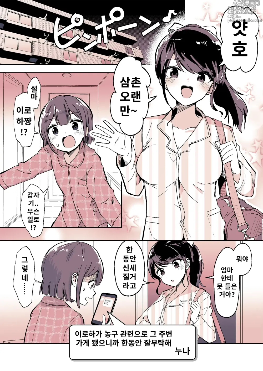 Page 3 of doujinshi 조카가 내 마마가 된 날