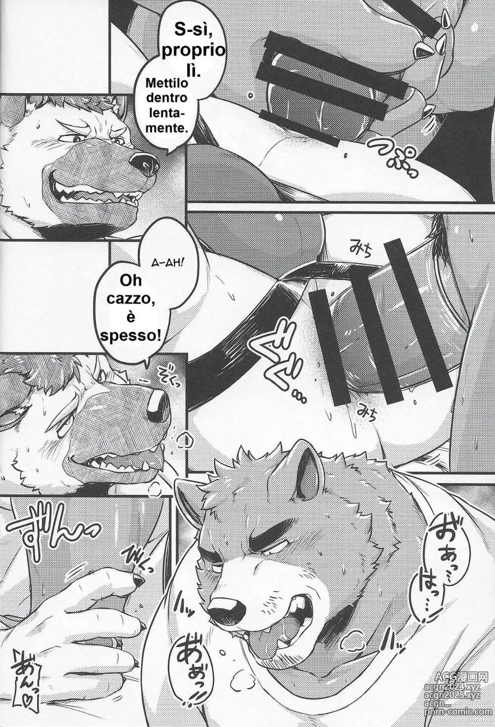 Page 21 of doujinshi Diritti paralleli ita