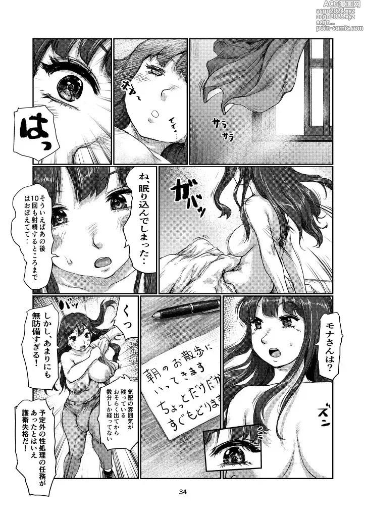 Page 33 of doujinshi Futanari Guard