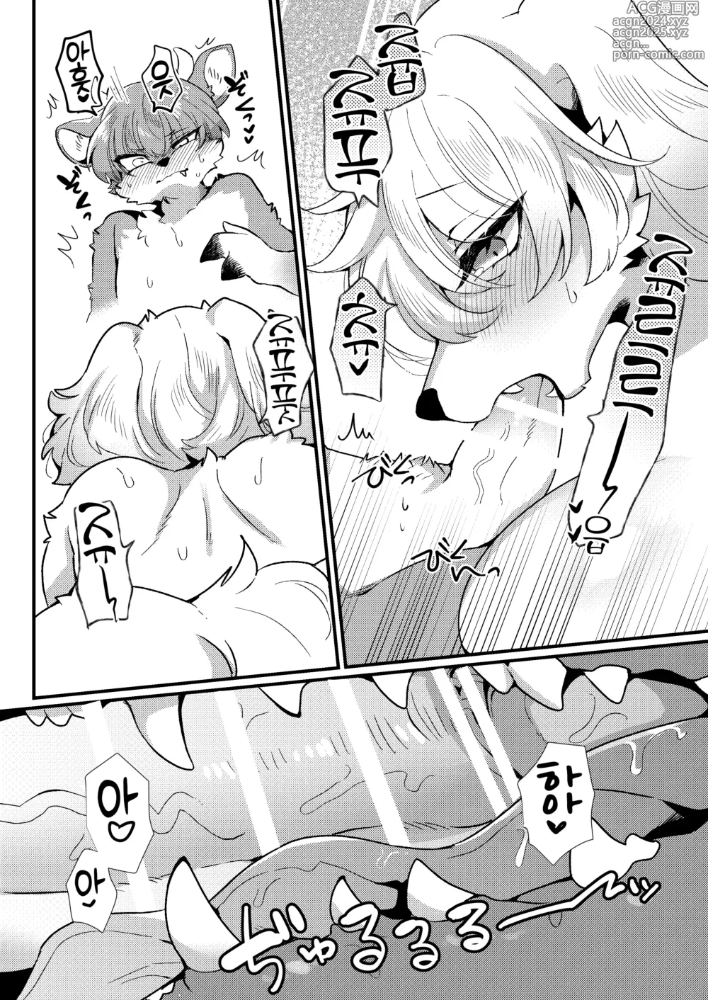 Page 11 of doujinshi 올록볼록 매칭