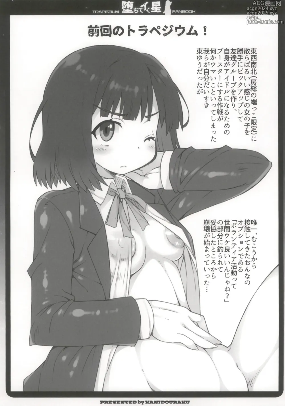 Page 5 of doujinshi Ochite Iku Hoshi