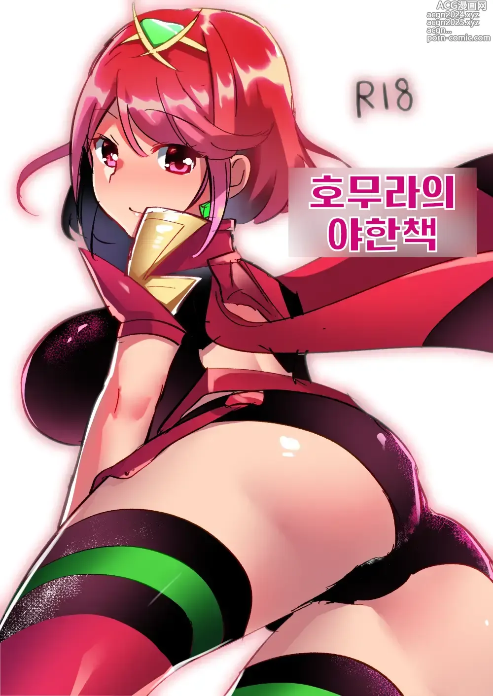 Page 1 of doujinshi 호무라의 야한 책