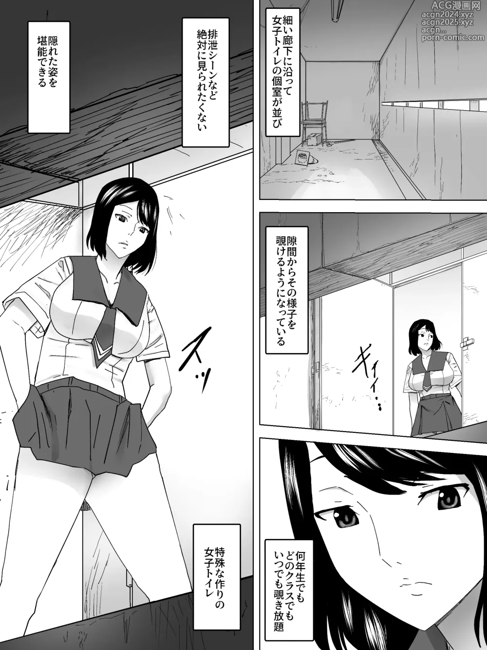 Page 3 of doujinshi Nozoki Kounin Joshi Benjo