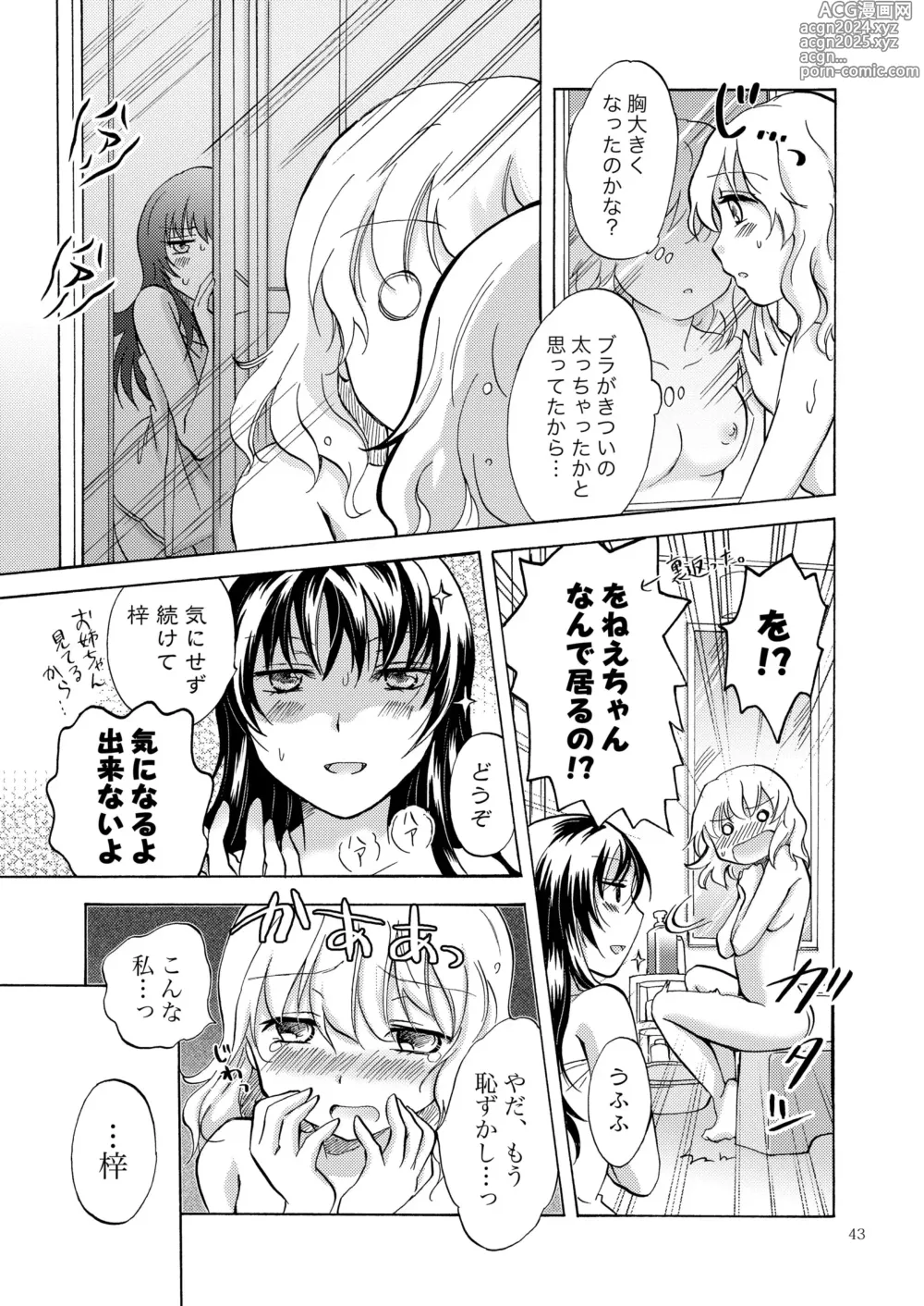 Page 42 of doujinshi Lily Girls Collection Yuri H Tanpenshuu