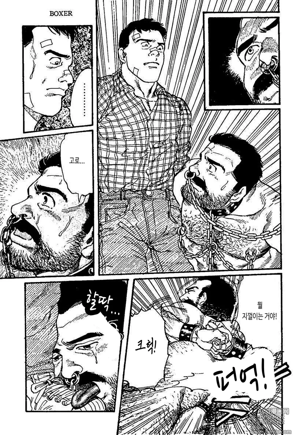 Page 27 of manga BOXER 영광의 대가