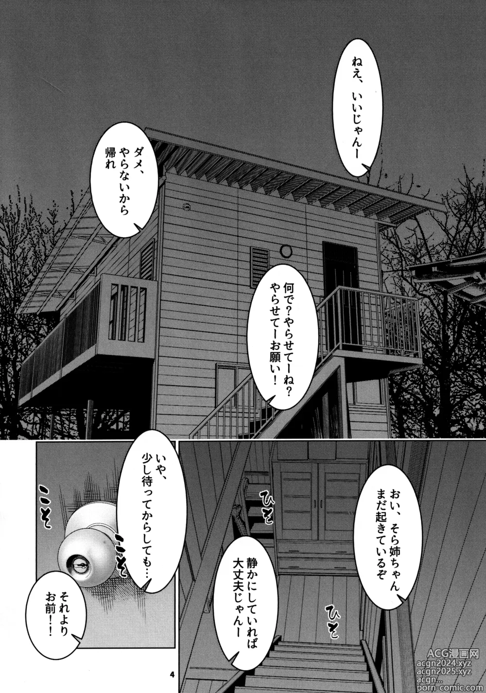 Page 3 of doujinshi Otonano Omochiya 26