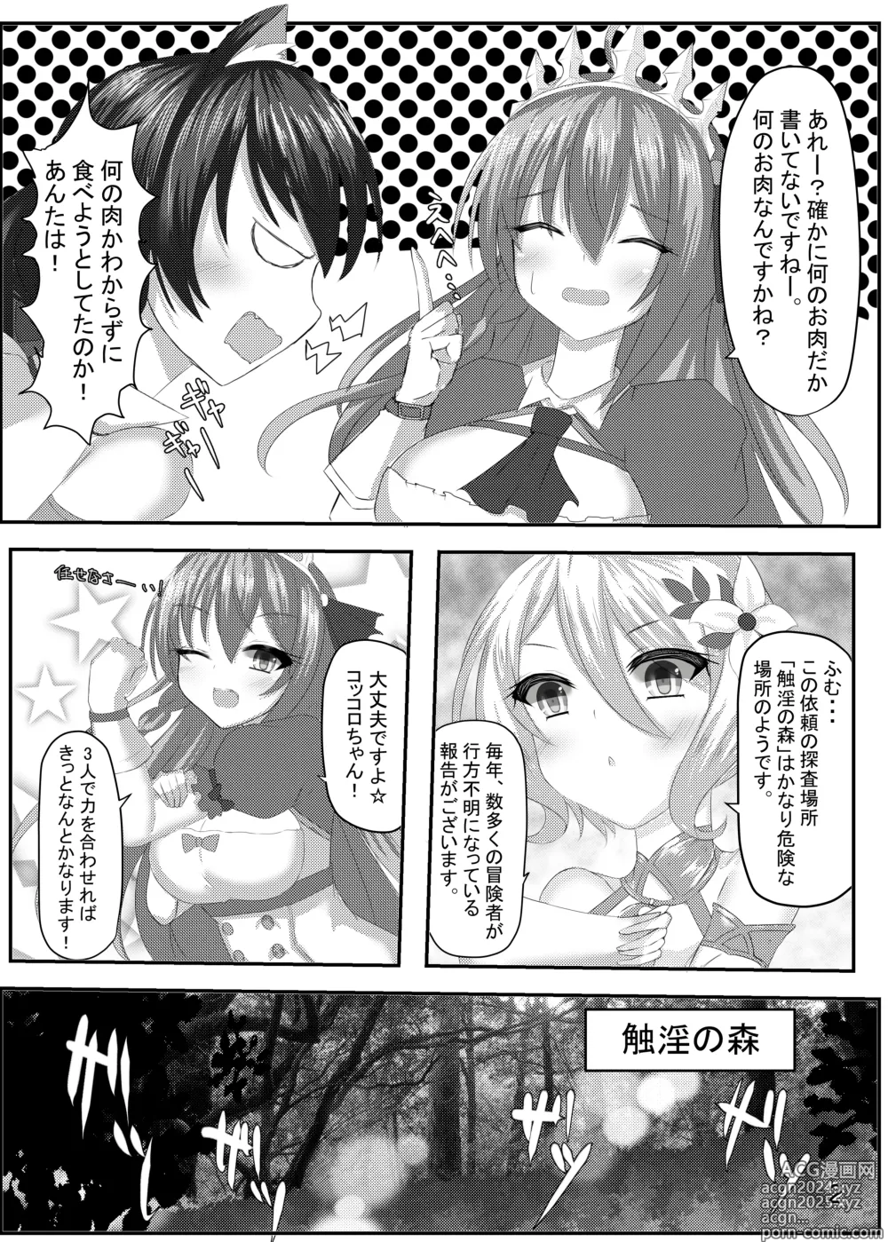 Page 3 of doujinshi Falling princess