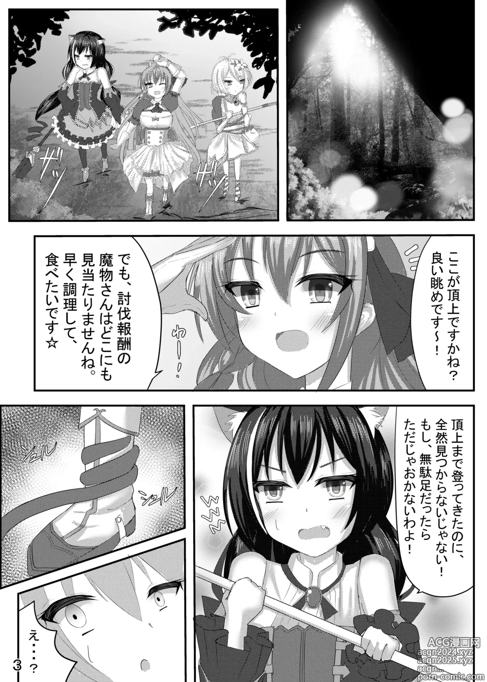 Page 4 of doujinshi Falling princess