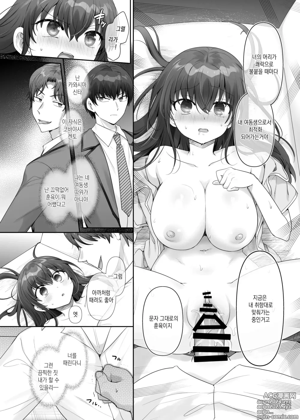 Page 17 of doujinshi 나는 그 녀석의 여동생 노예