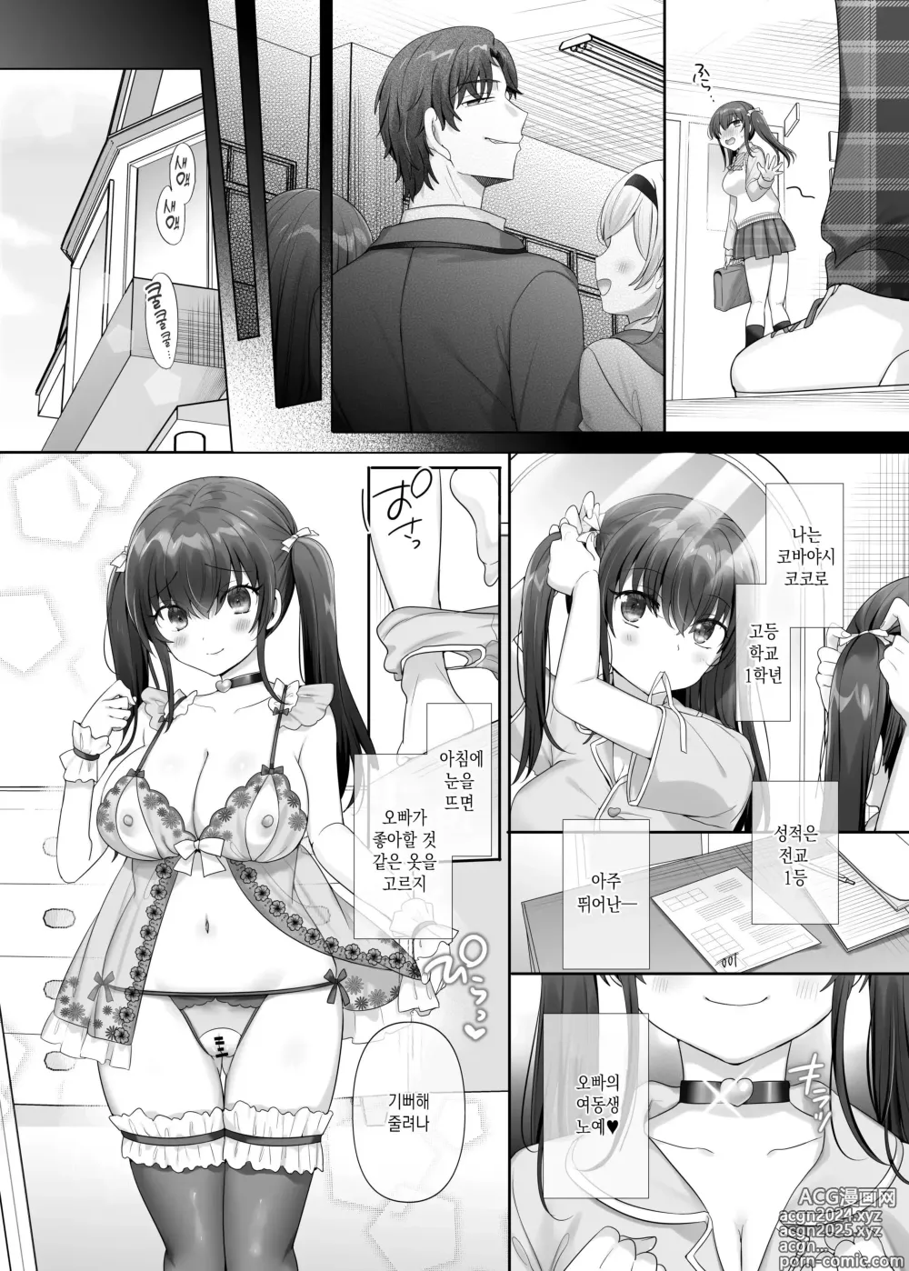 Page 27 of doujinshi 나는 그 녀석의 여동생 노예