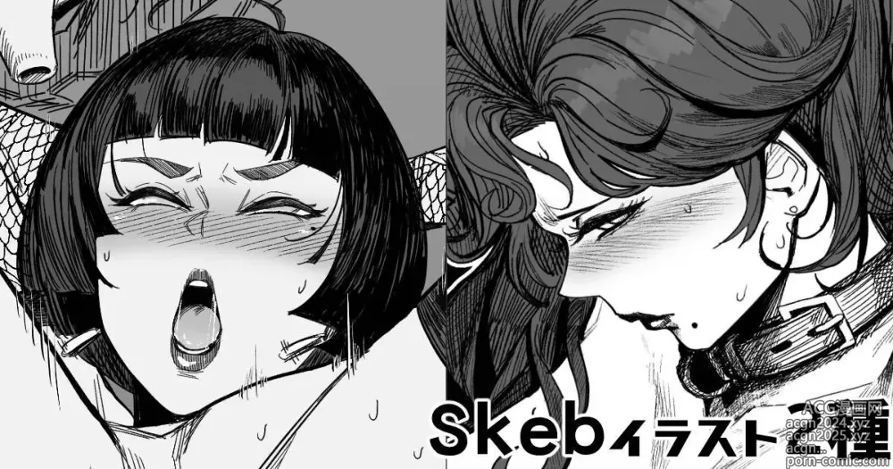 Page 1 of doujinshi Skeb2種