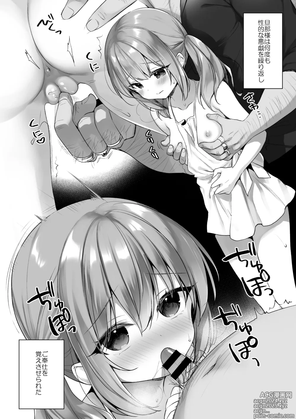 Page 5 of doujinshi Daten Keikaku - Mou Hitori no Shugosha Hen