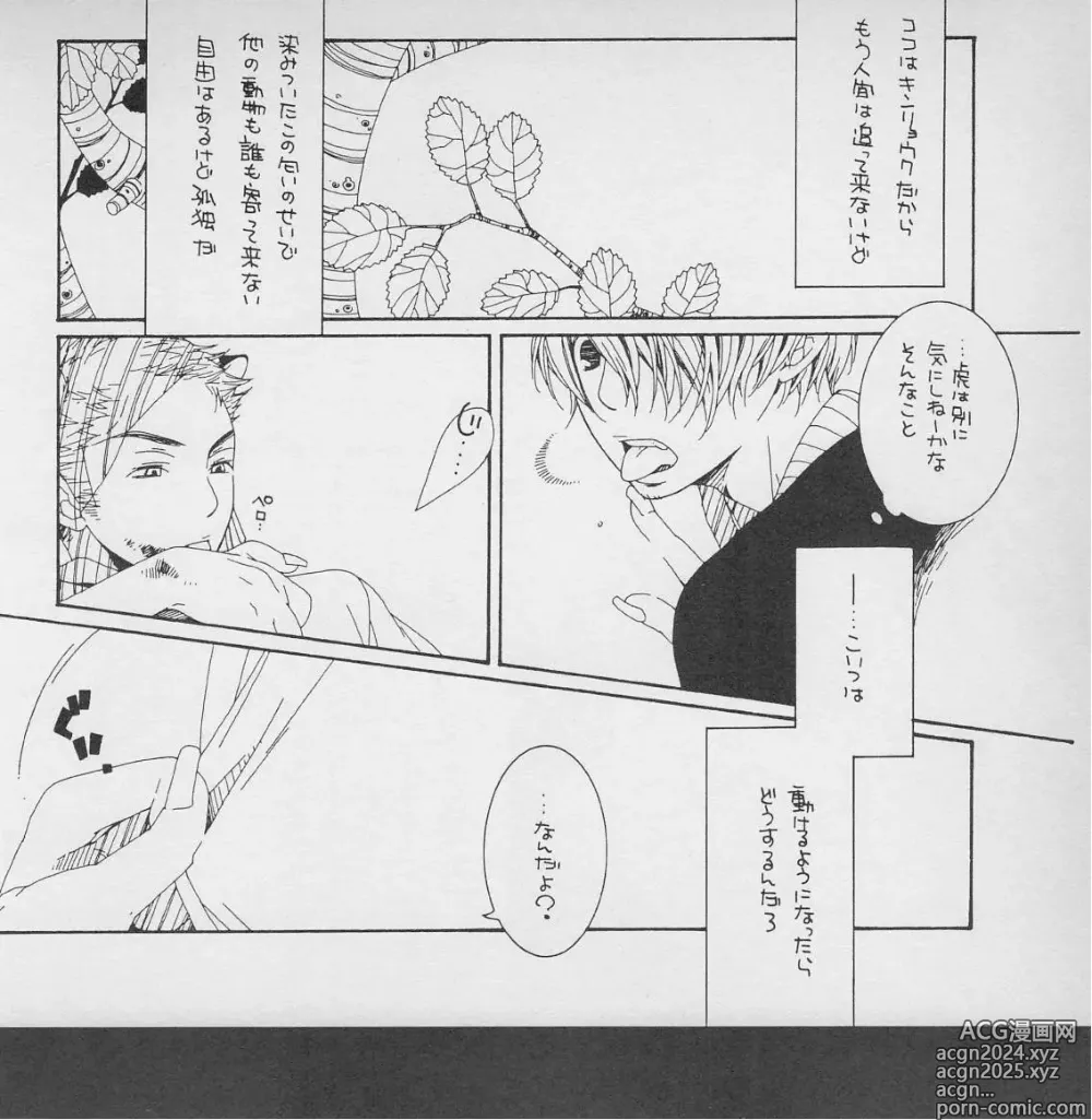 Page 9 of doujinshi 深い森の影から