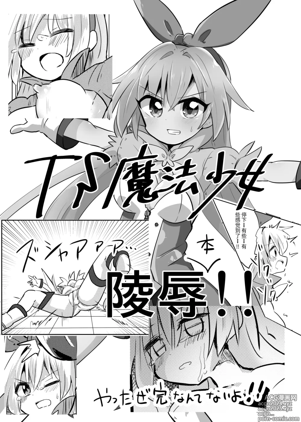 Page 29 of doujinshi TS Mahou Shoujo Pure Rabbit 1-3