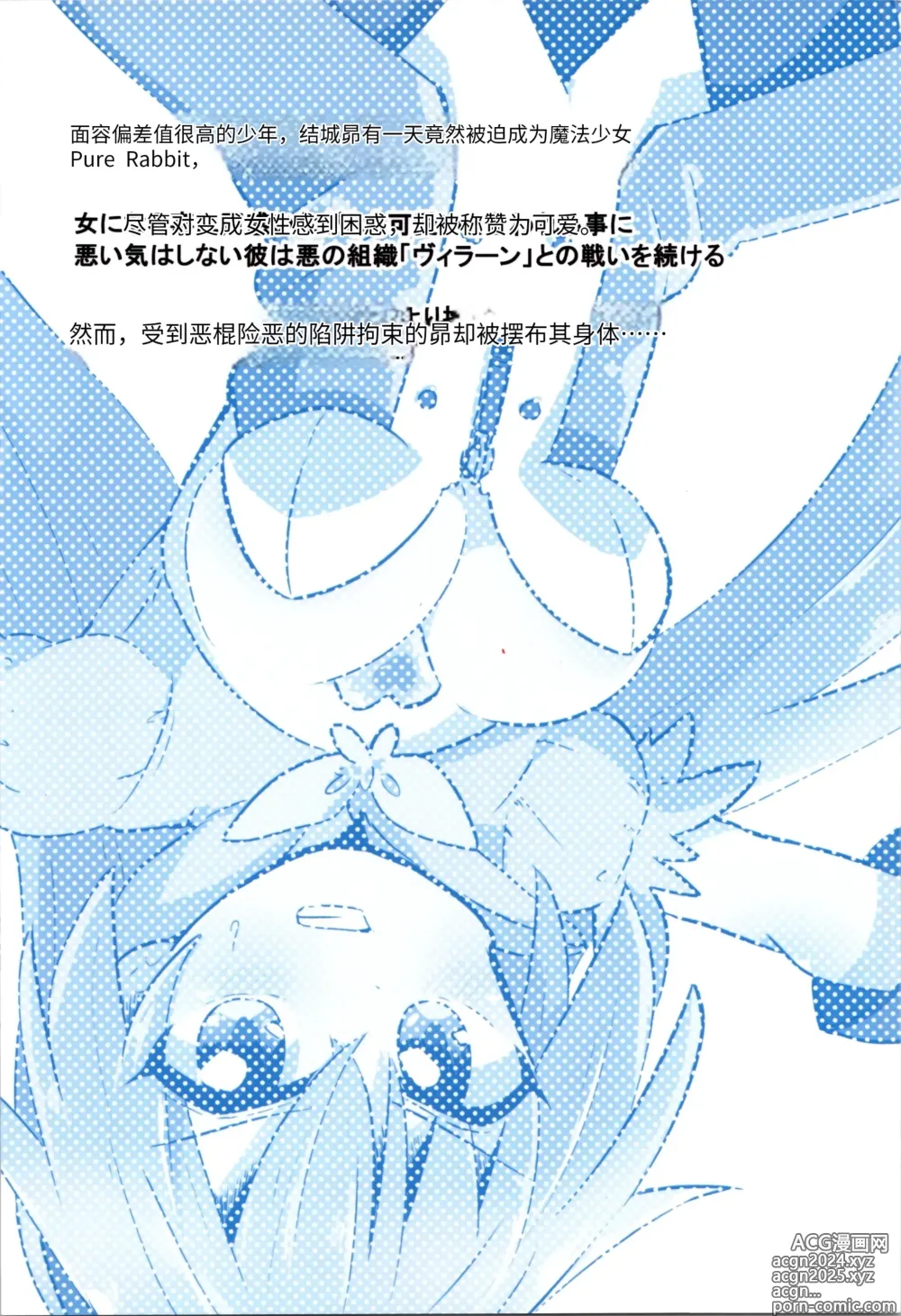 Page 35 of doujinshi TS Mahou Shoujo Pure Rabbit 1-3