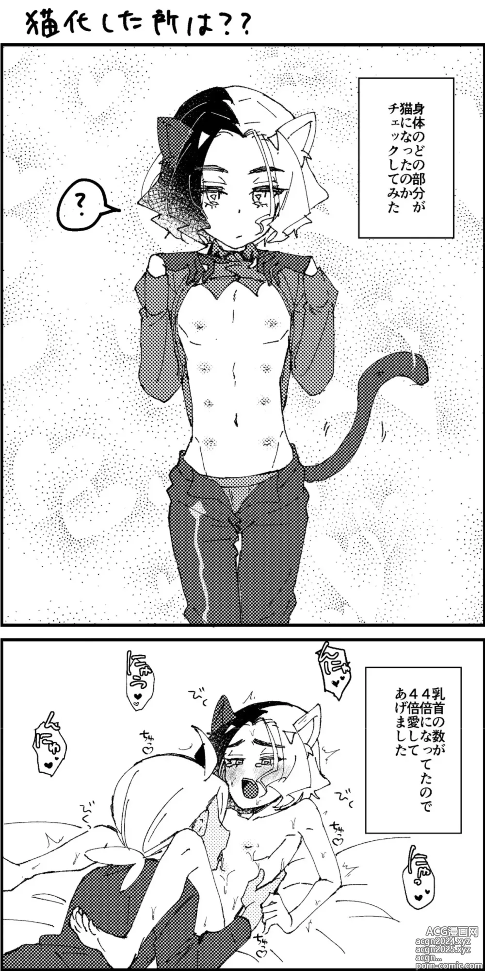 Page 8 of doujinshi Ame ga Neko ni Narimashite