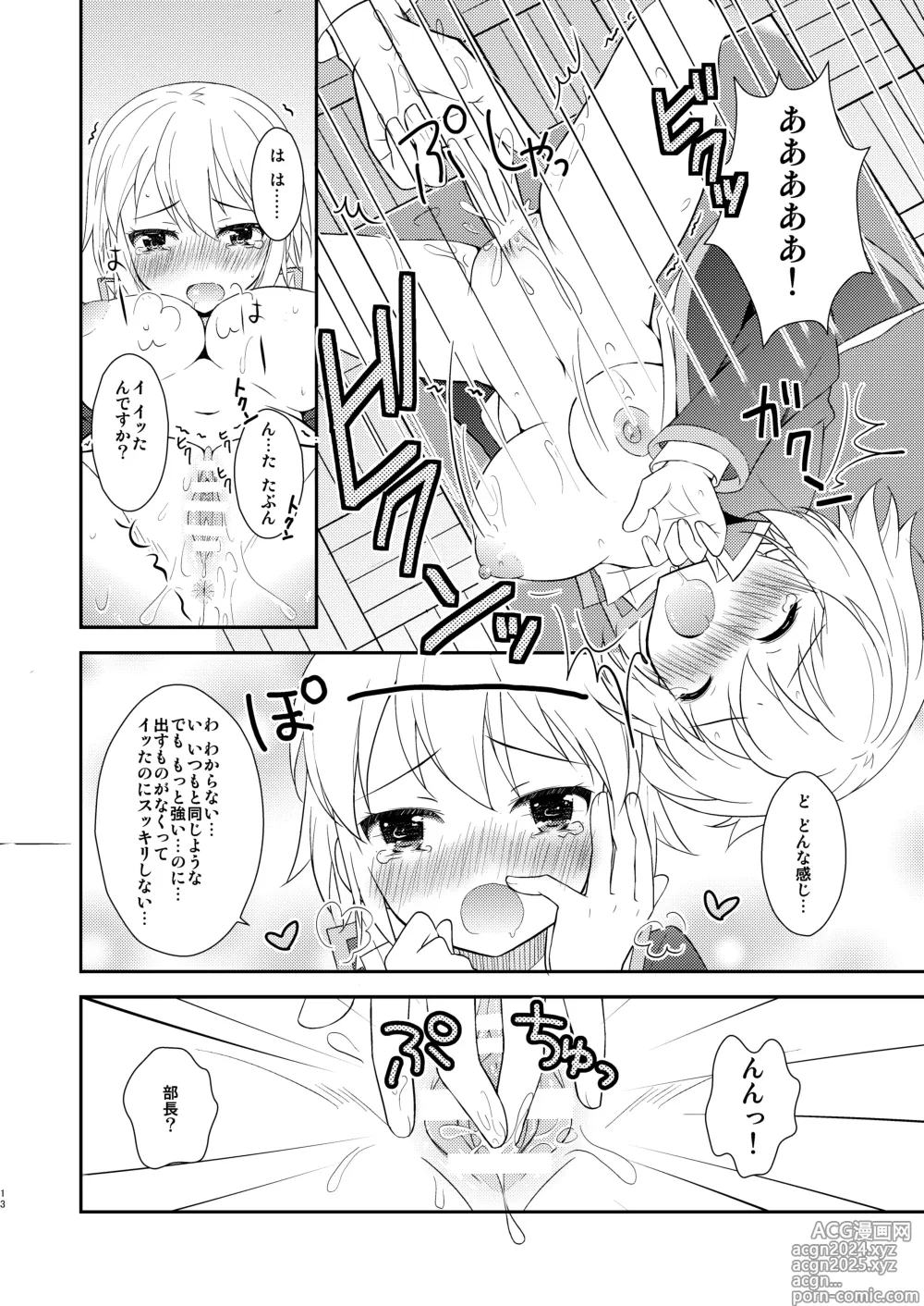 Page 13 of doujinshi TS Soshuuhen