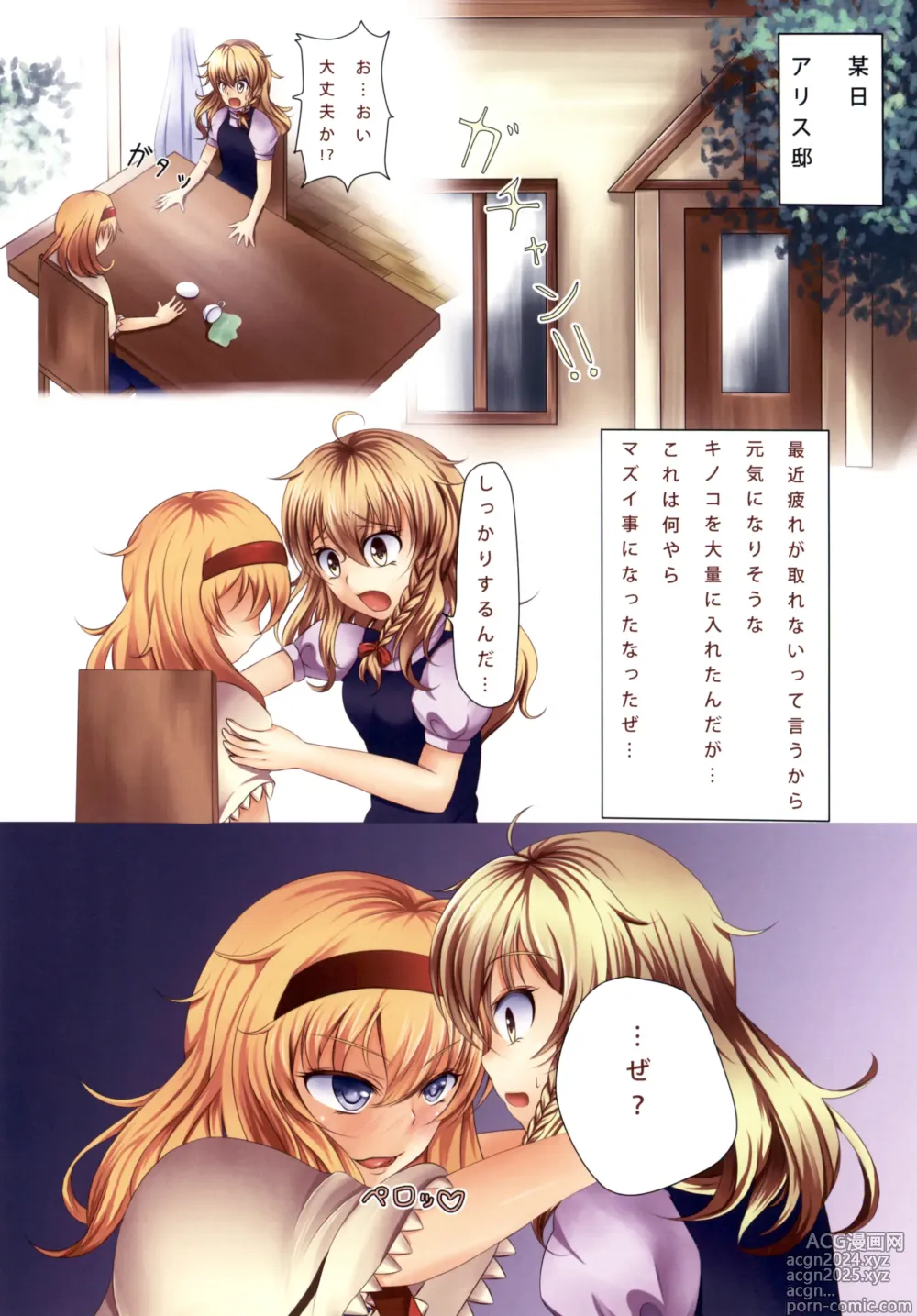 Page 12 of doujinshi Alice Kitouchuu