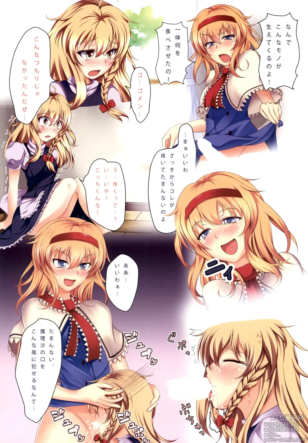 Page 14 of doujinshi Alice Kitouchuu