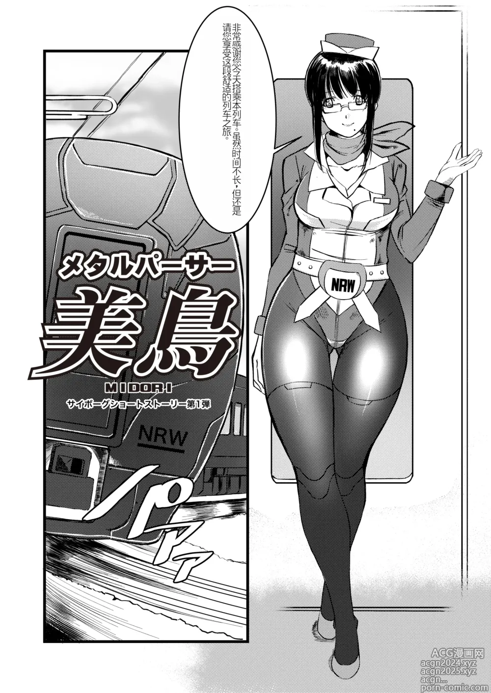 Page 3 of doujinshi Cyborg Heroine Metal Parser Birds