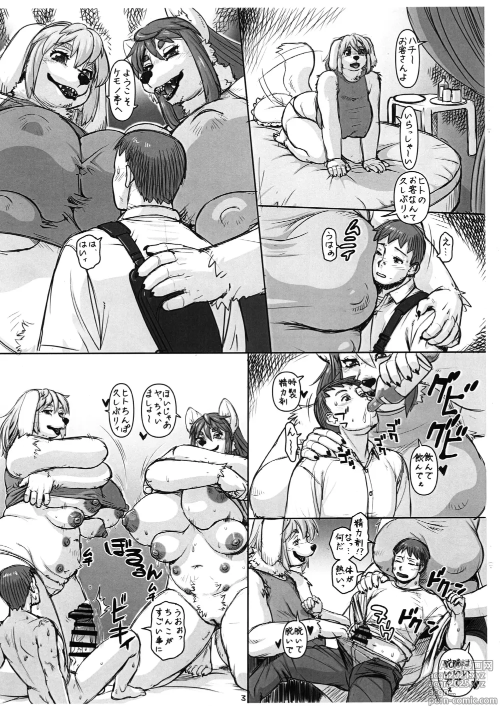 Page 3 of doujinshi Uraroji no Kemotei