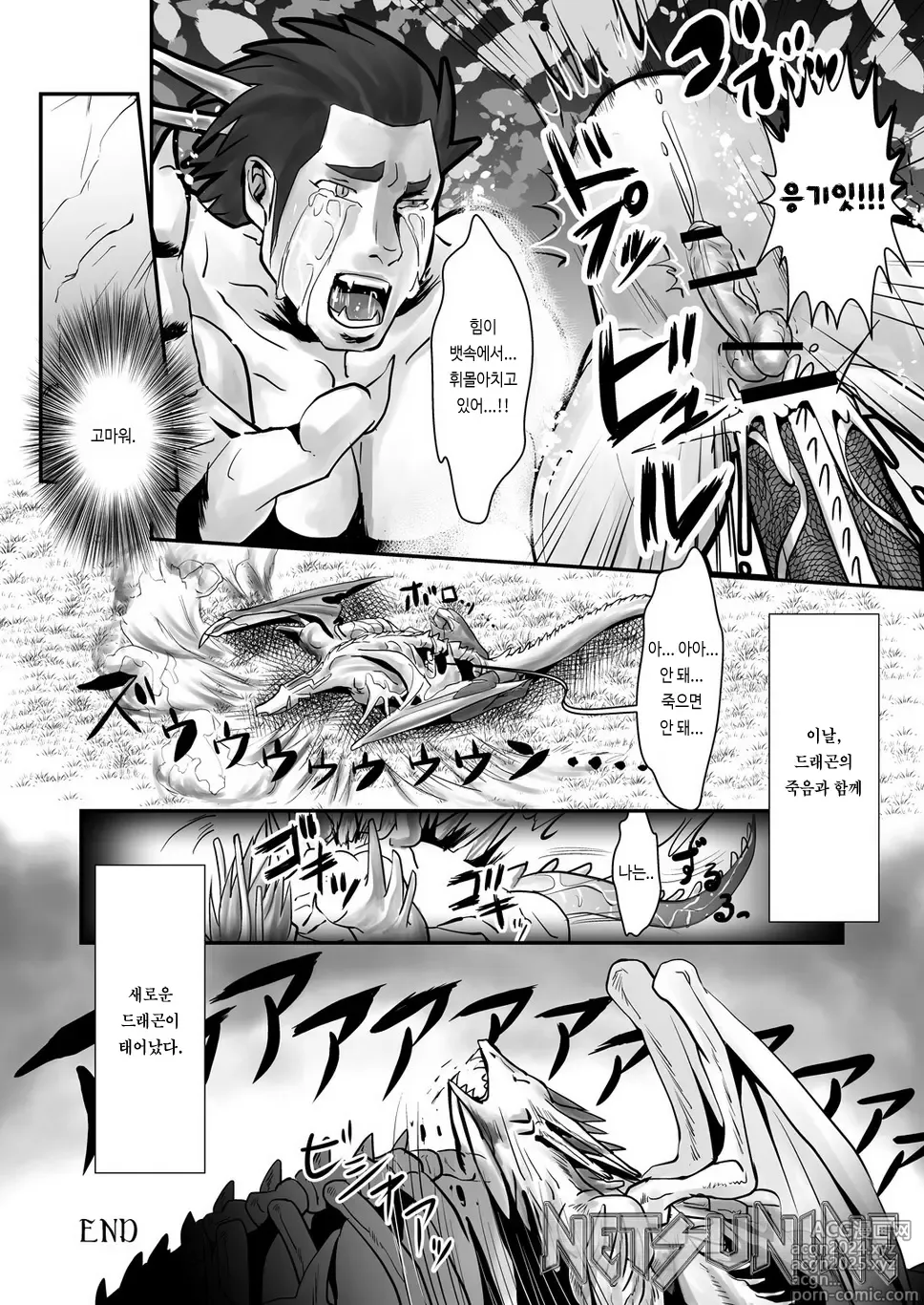 Page 28 of doujinshi Dragon Hunt?! 2