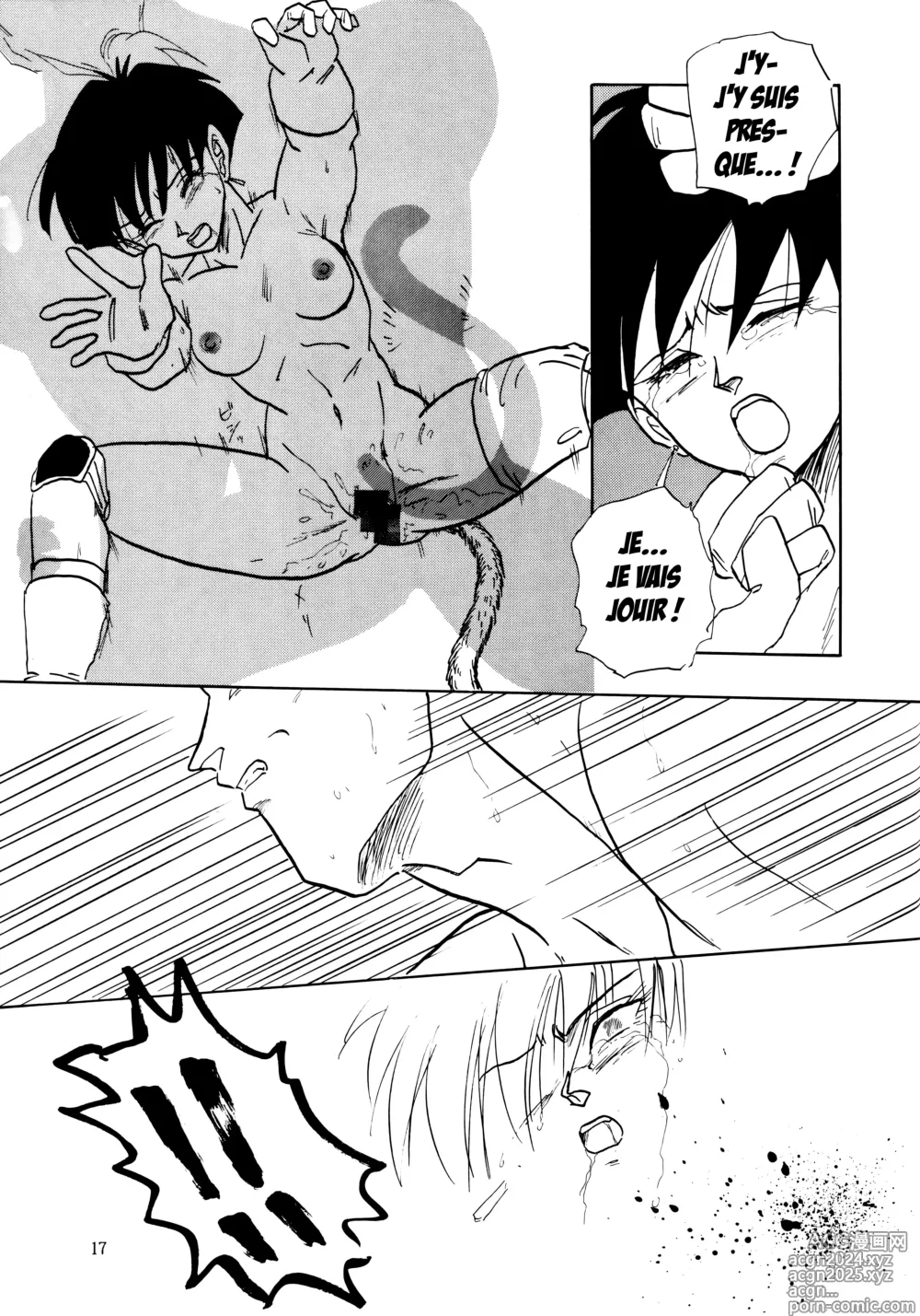 Page 17 of doujinshi XX