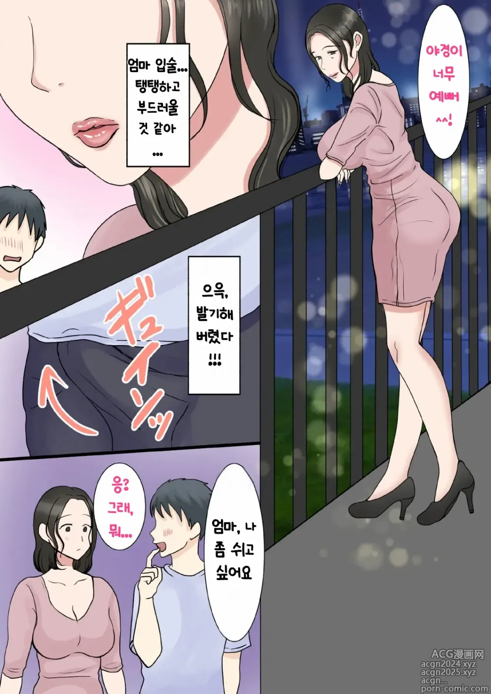 Page 28 of doujinshi Shojo no Haha wa Musuko ni Dakarete Ko o Haramu 처녀인 엄마는 아들에게 안겨 아이를 낳는다