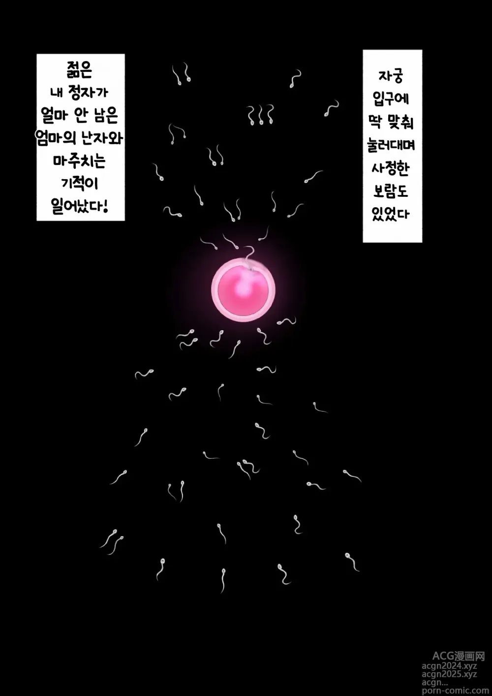 Page 76 of doujinshi Shojo no Haha wa Musuko ni Dakarete Ko o Haramu 처녀인 엄마는 아들에게 안겨 아이를 낳는다