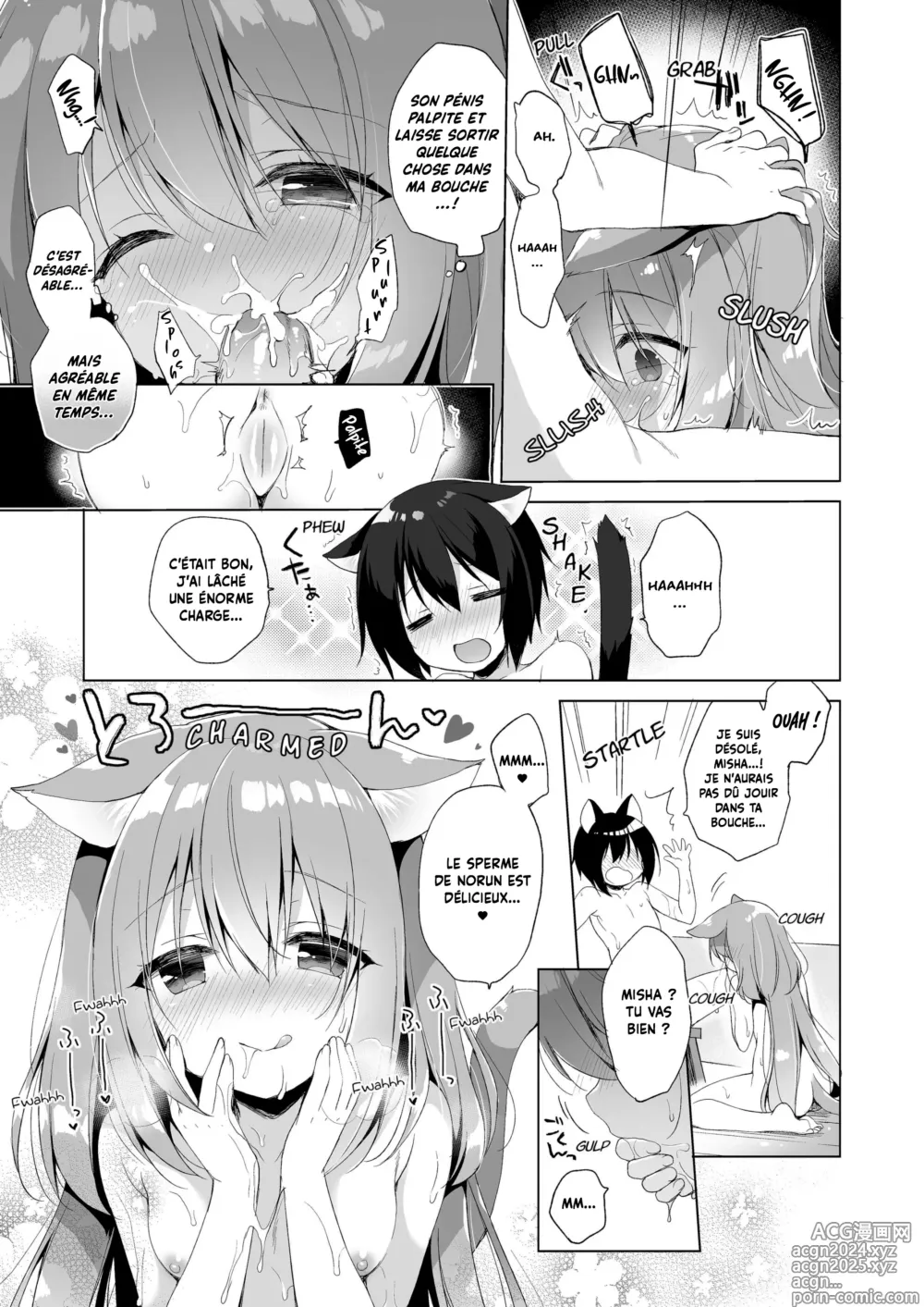 Page 13 of doujinshi Ma Vie de Rêve dans un Autre Monde (decensored)