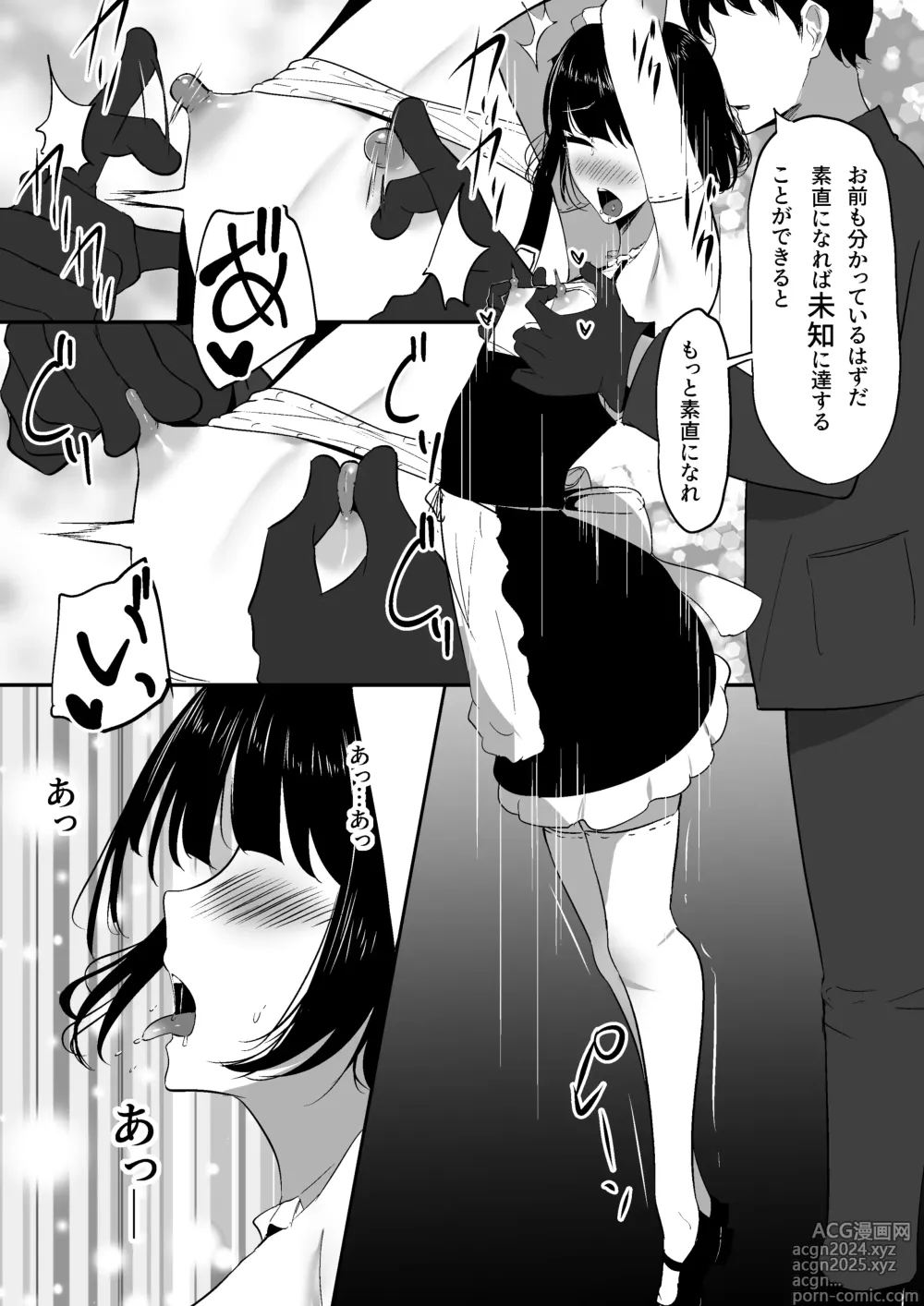 Page 30 of doujinshi Chiku Ochi 2 ~Touzoku Maid-hen~