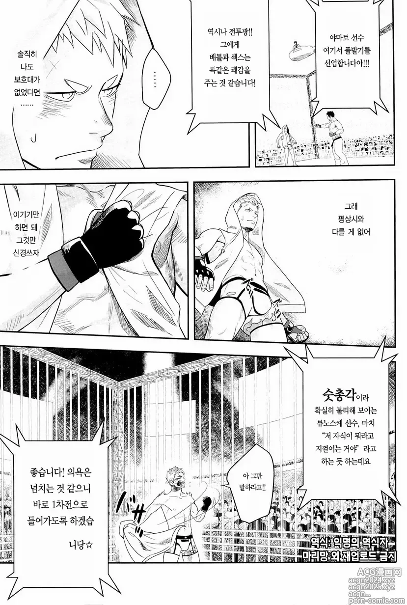 Page 13 of doujinshi 가칭코 배틀 ．