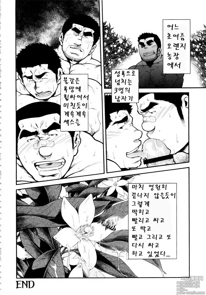 Page 24 of manga 양봉장에서 일어난 일