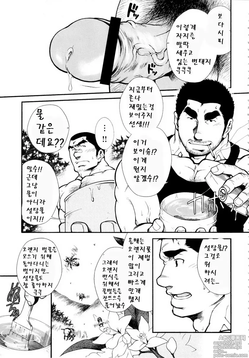 Page 7 of manga 양봉장에서 일어난 일