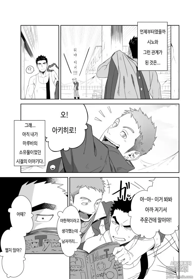 Page 3 of doujinshi 메테오 라이드