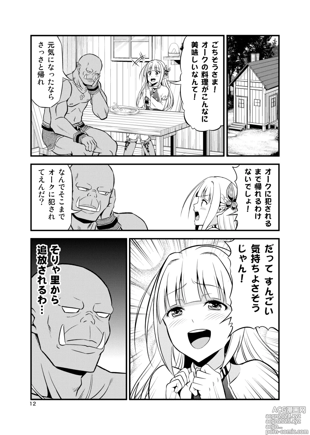 Page 11 of doujinshi Hentai Elf to Majime Orc Doujin Ban Soushuuhen - A crazy elf and a serious orc