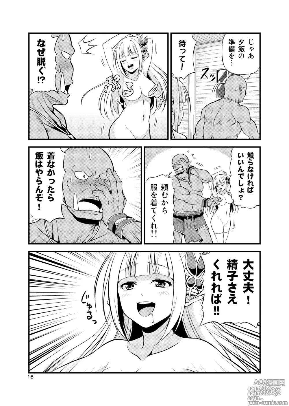 Page 17 of doujinshi Hentai Elf to Majime Orc Doujin Ban Soushuuhen - A crazy elf and a serious orc