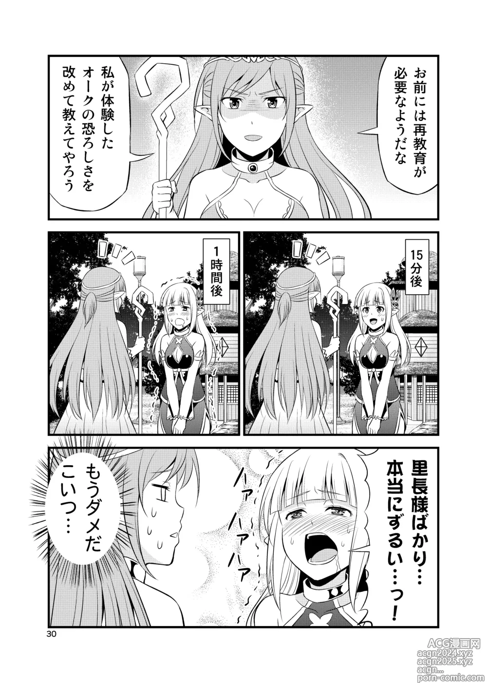 Page 29 of doujinshi Hentai Elf to Majime Orc Doujin Ban Soushuuhen - A crazy elf and a serious orc