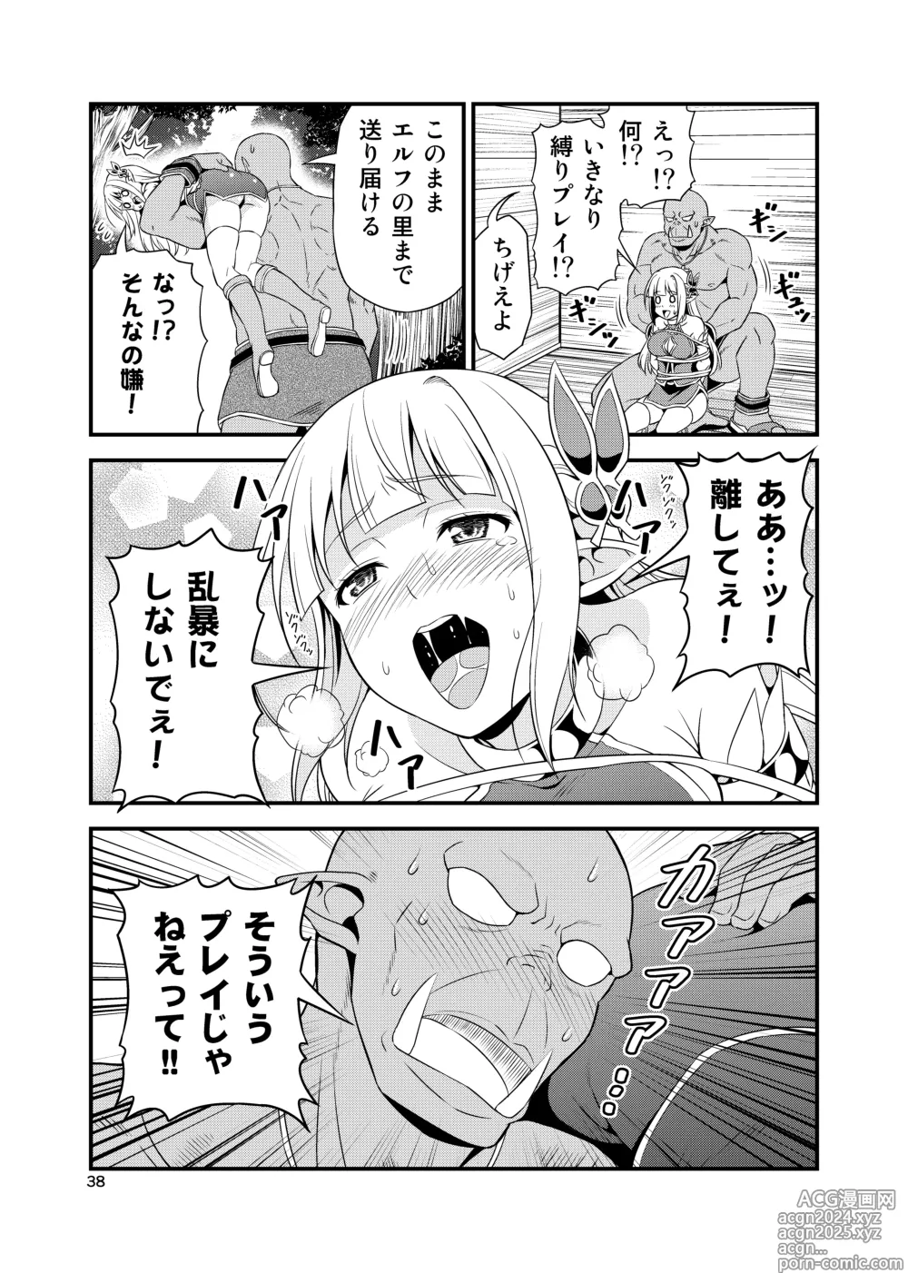 Page 37 of doujinshi Hentai Elf to Majime Orc Doujin Ban Soushuuhen - A crazy elf and a serious orc