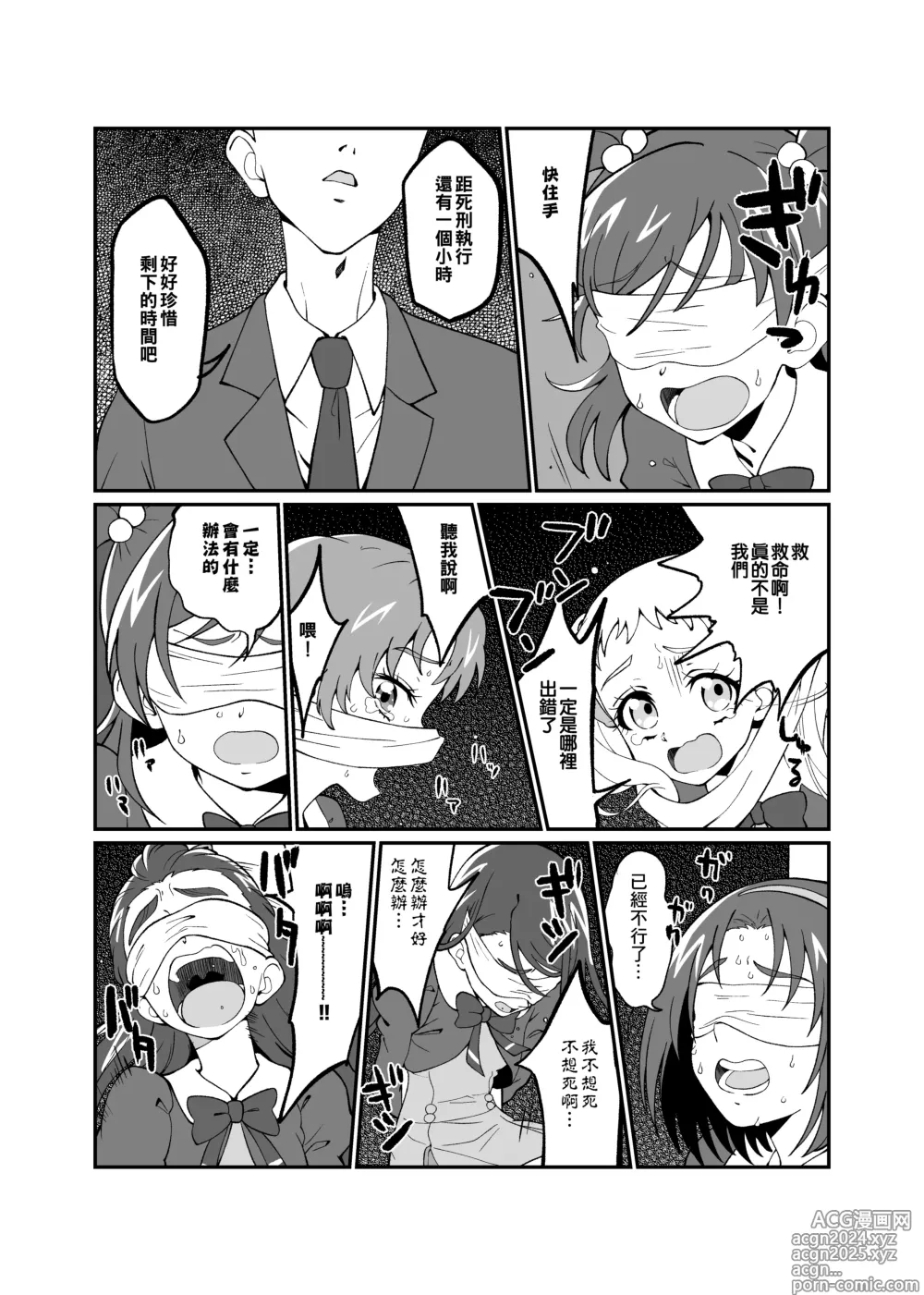 Page 3 of doujinshi Precure5 Execution