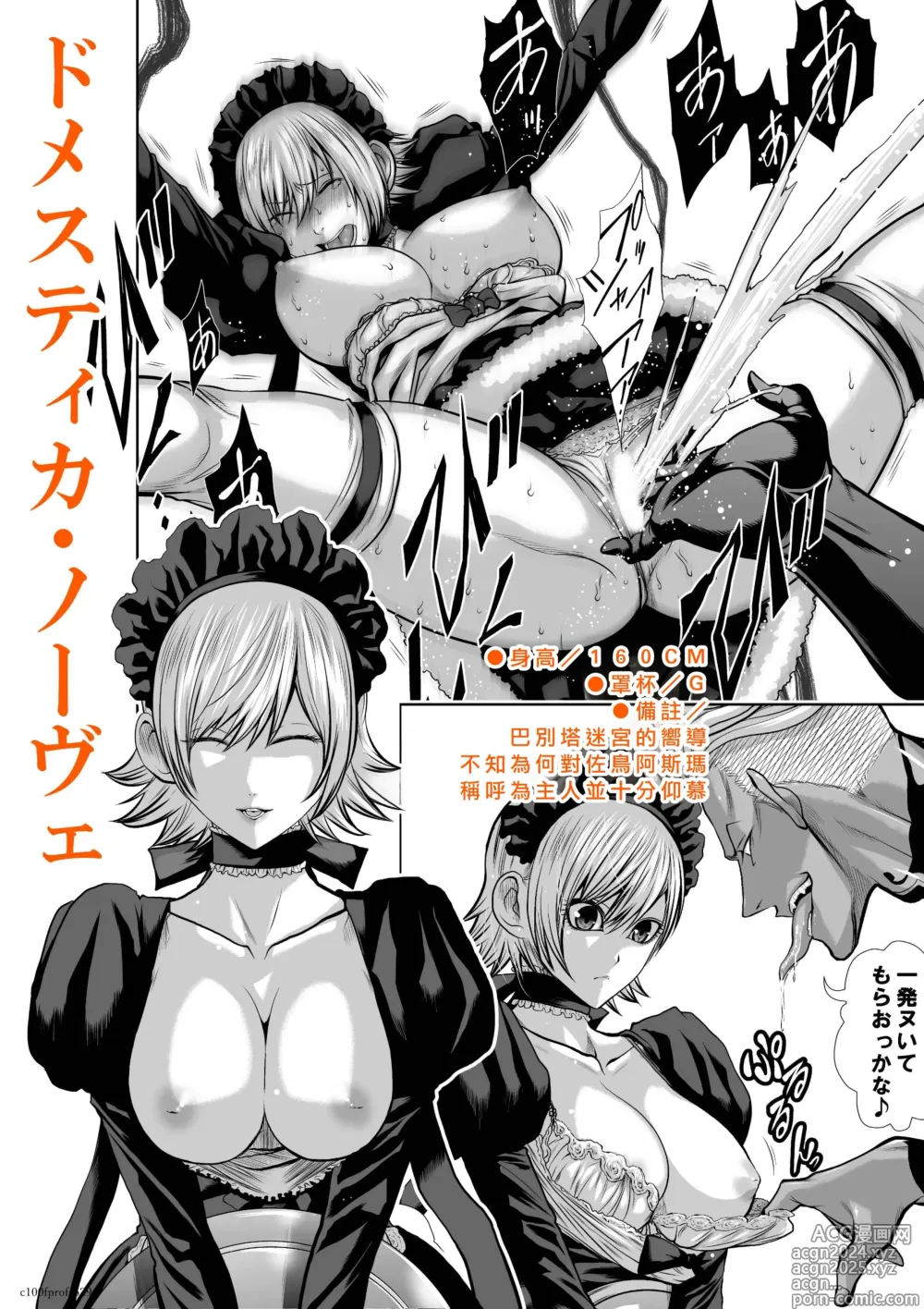 Page 29 of manga Chijou Hyakkai R18 Female Characters Introduction [Chinese] 地上100層