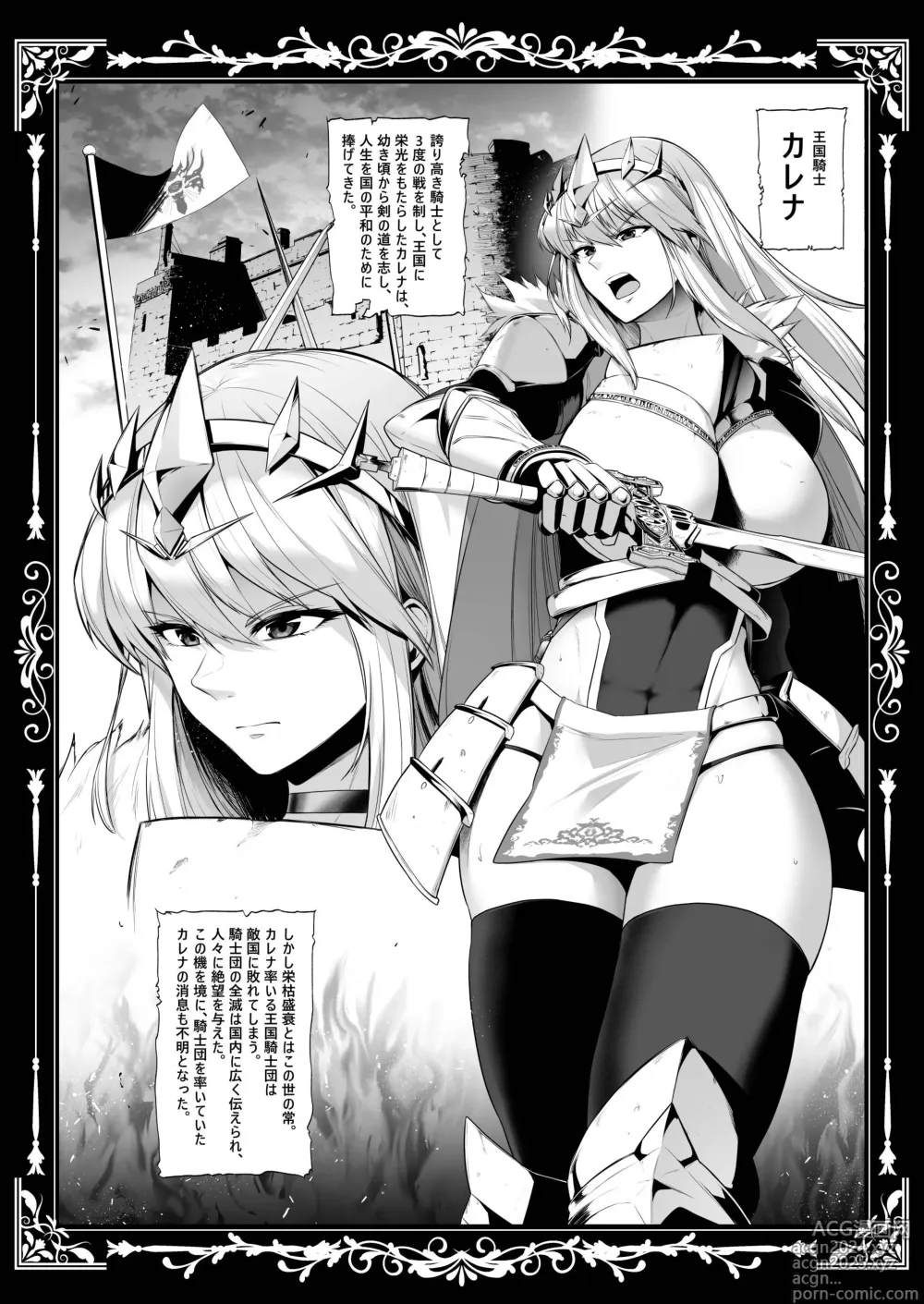 Page 31 of doujinshi Kokujoku no Merei -Fallen kingdom-