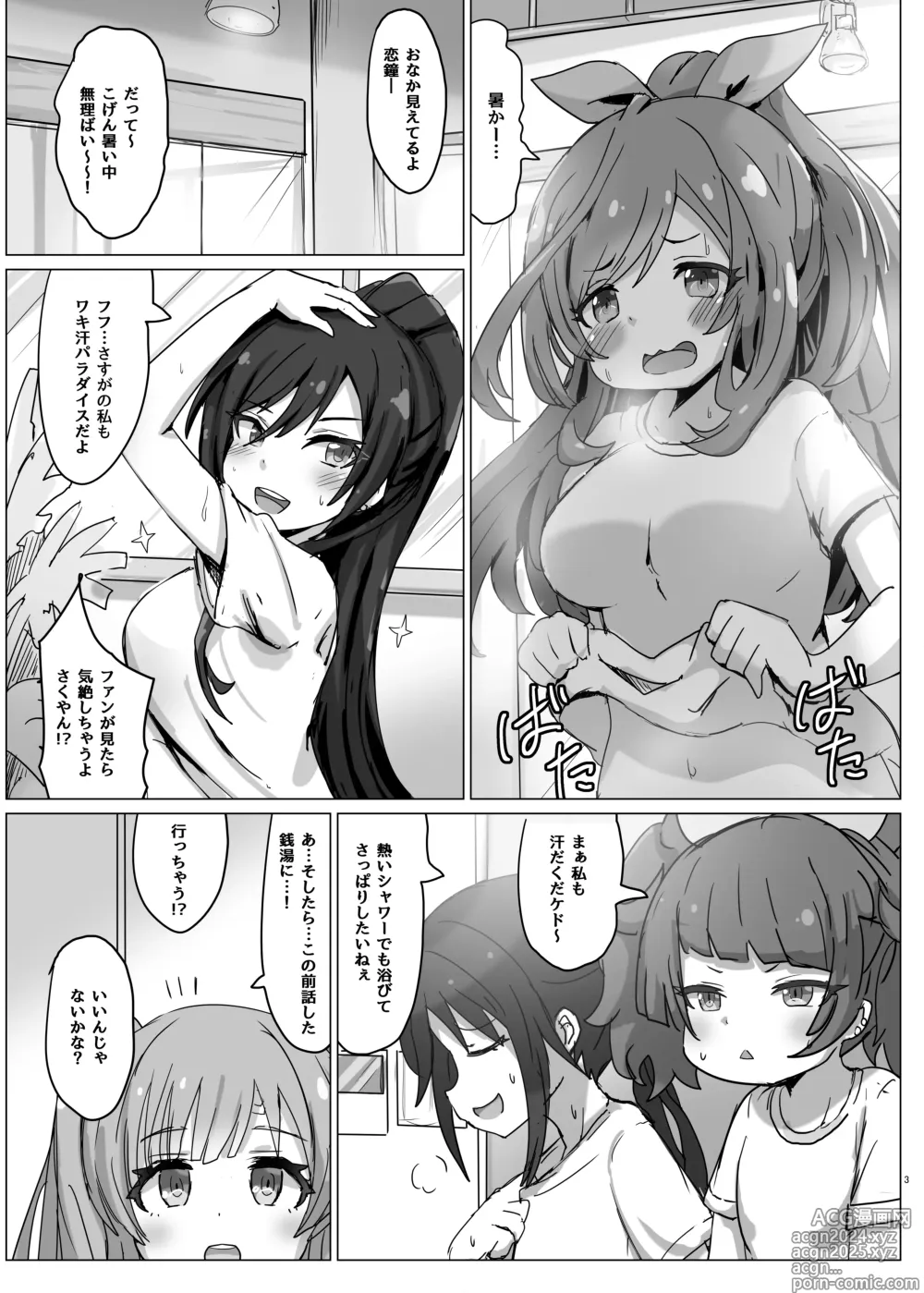 Page 3 of doujinshi Pokapoka LAntica