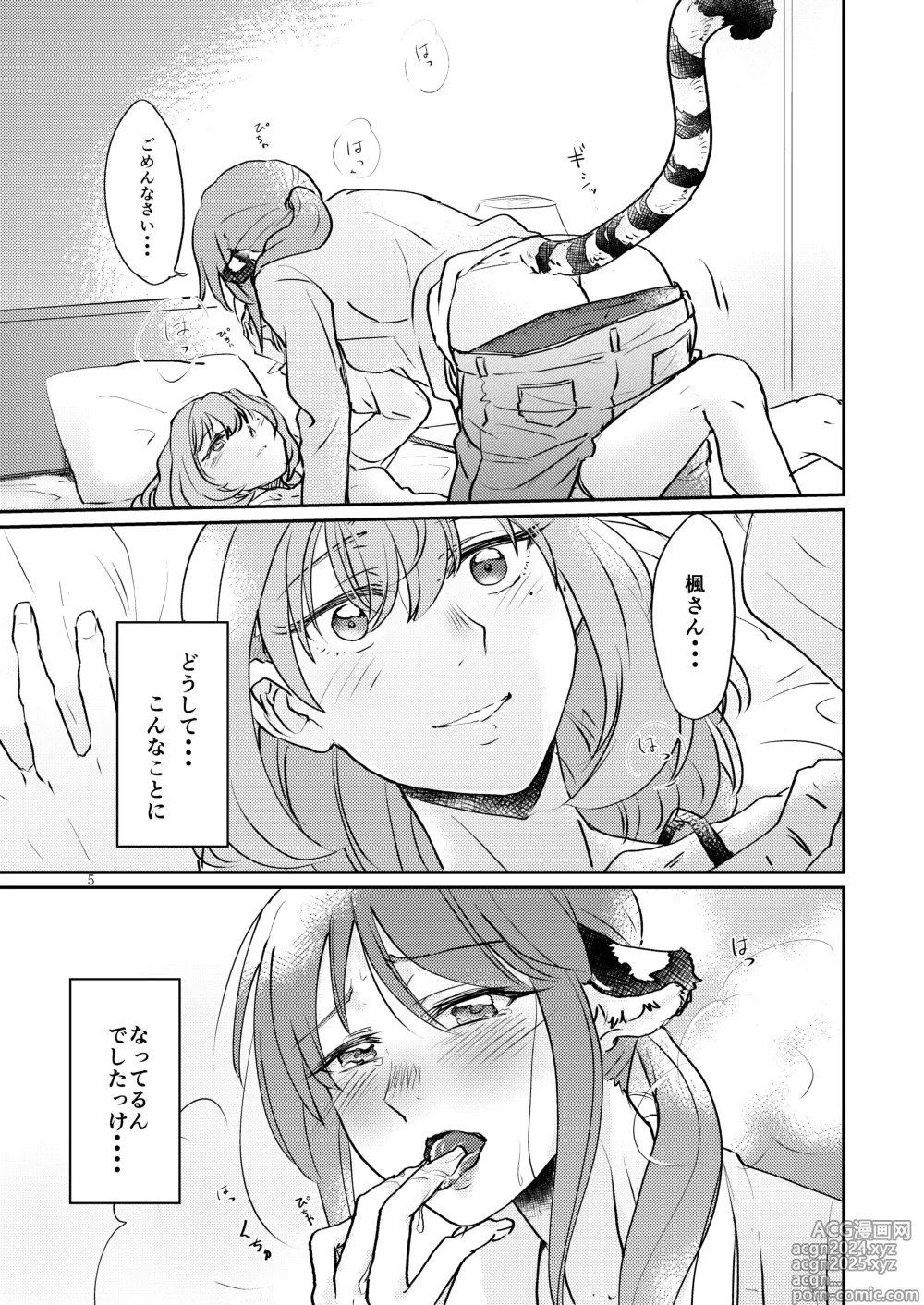 Page 5 of doujinshi Tora no Kimochi ni Naru desu yo?