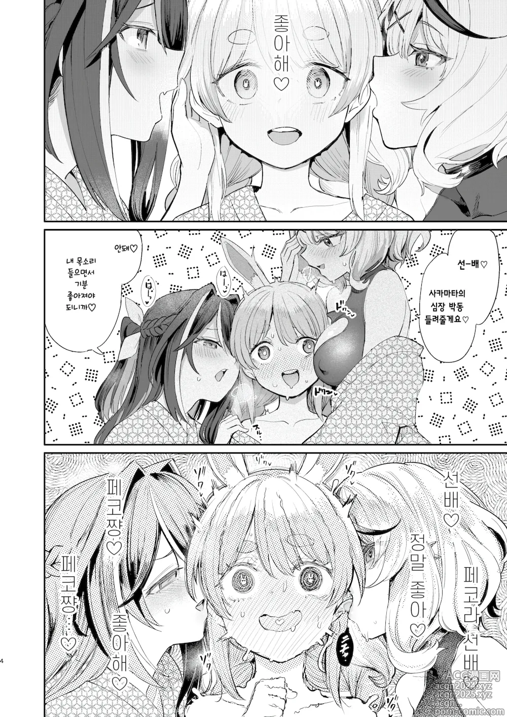 Page 3 of doujinshi 발정 토끼 윤간 축제