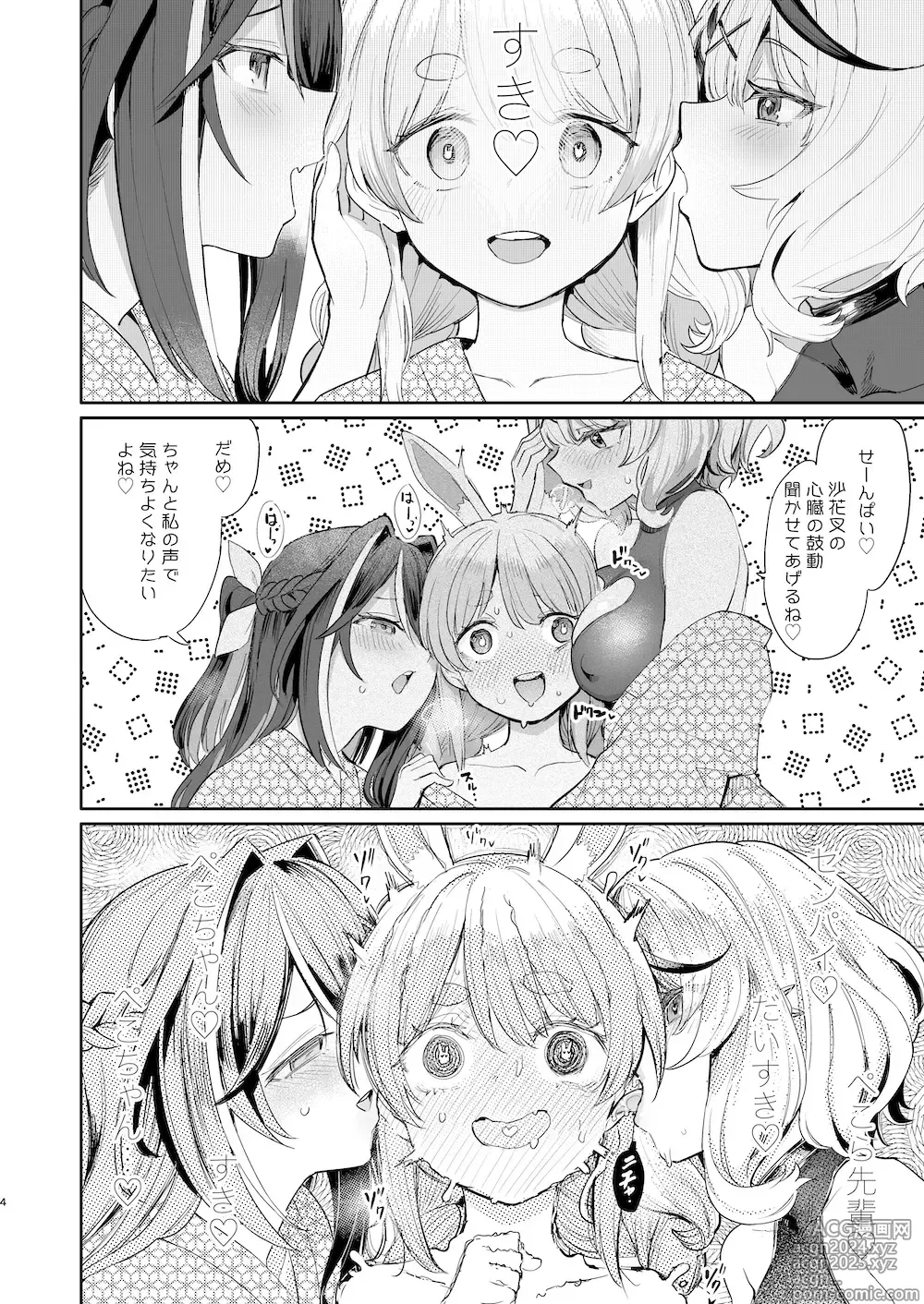 Page 3 of doujinshi Hatsujou Usagi Rinkansai