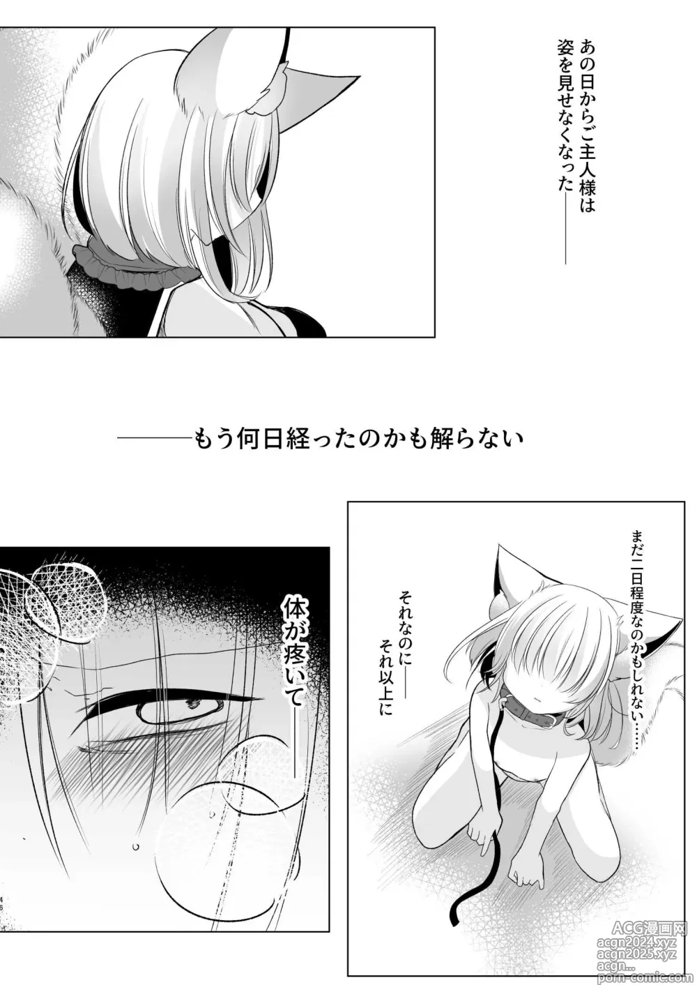 Page 46 of doujinshi Yakumo Ran ni Yoru Seidorei Choukyou Ichiji no Tawamure