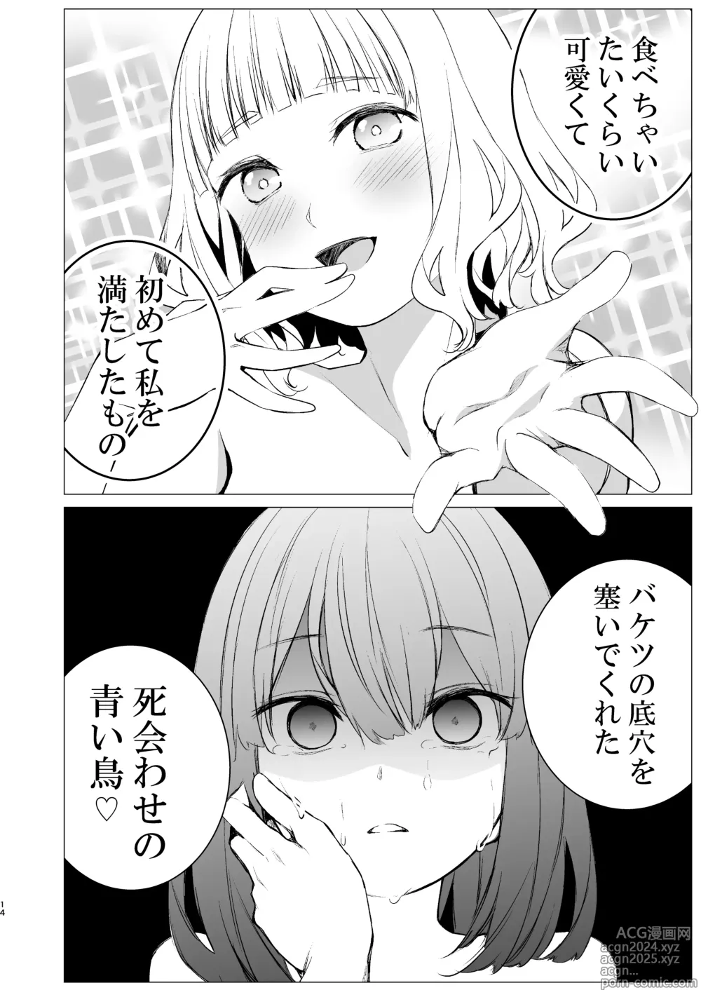 Page 13 of doujinshi Shiawase no Amayadori